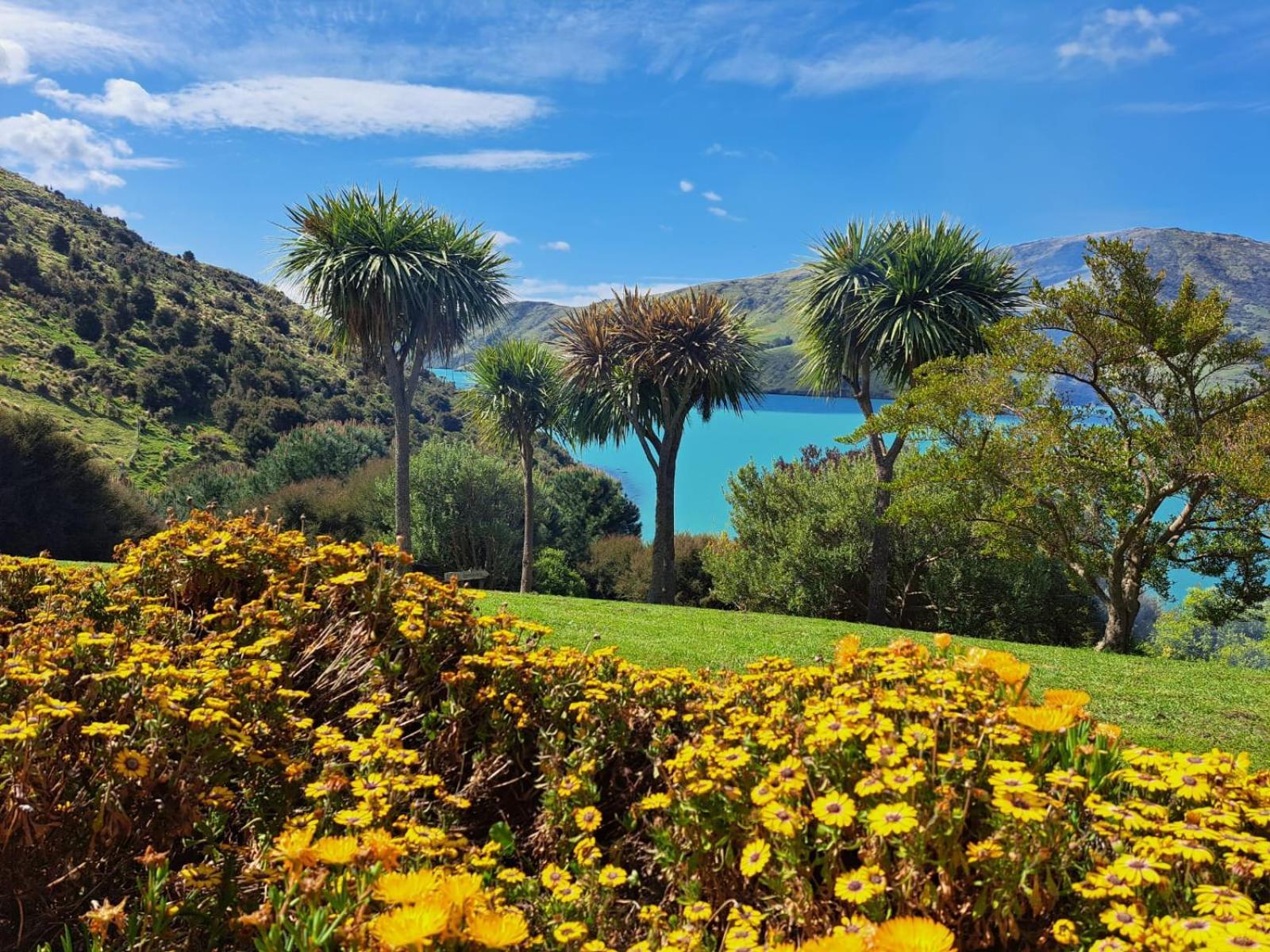 Port Levy B & B Christchurch Eksteriør billede